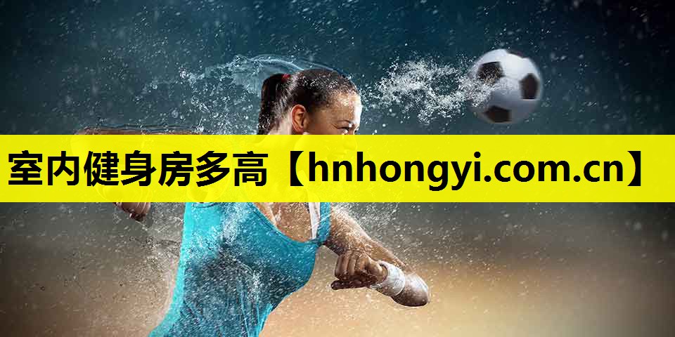 室内健身房多高