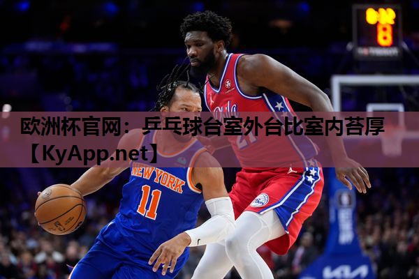 乒乓球台室外台比室内苔厚