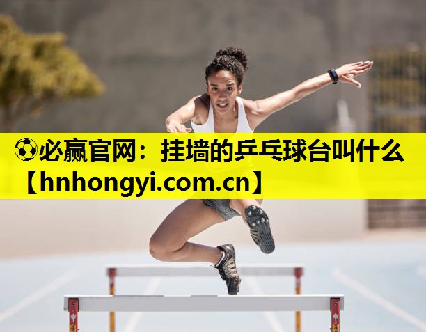挂墙的乒乓球台叫什么